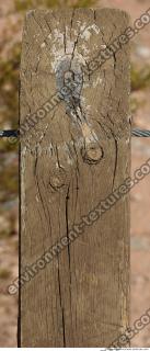 photo texture of wood bare 0003